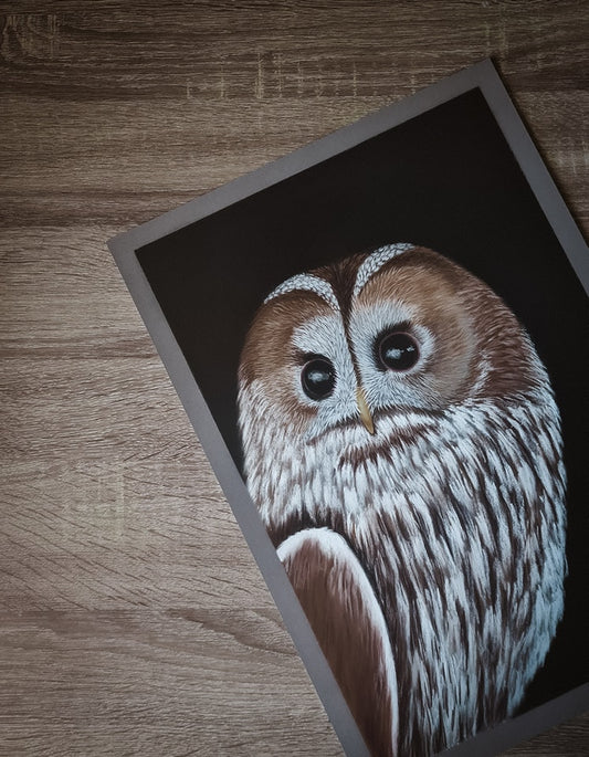 "Night owl" 29,7x42 cm