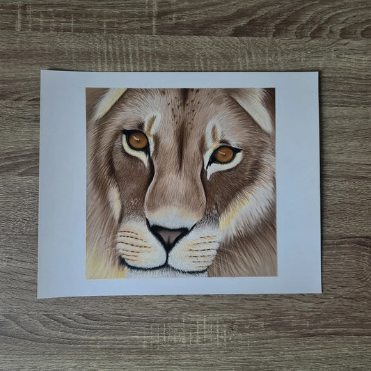 "The look of a lion" 28x35cm