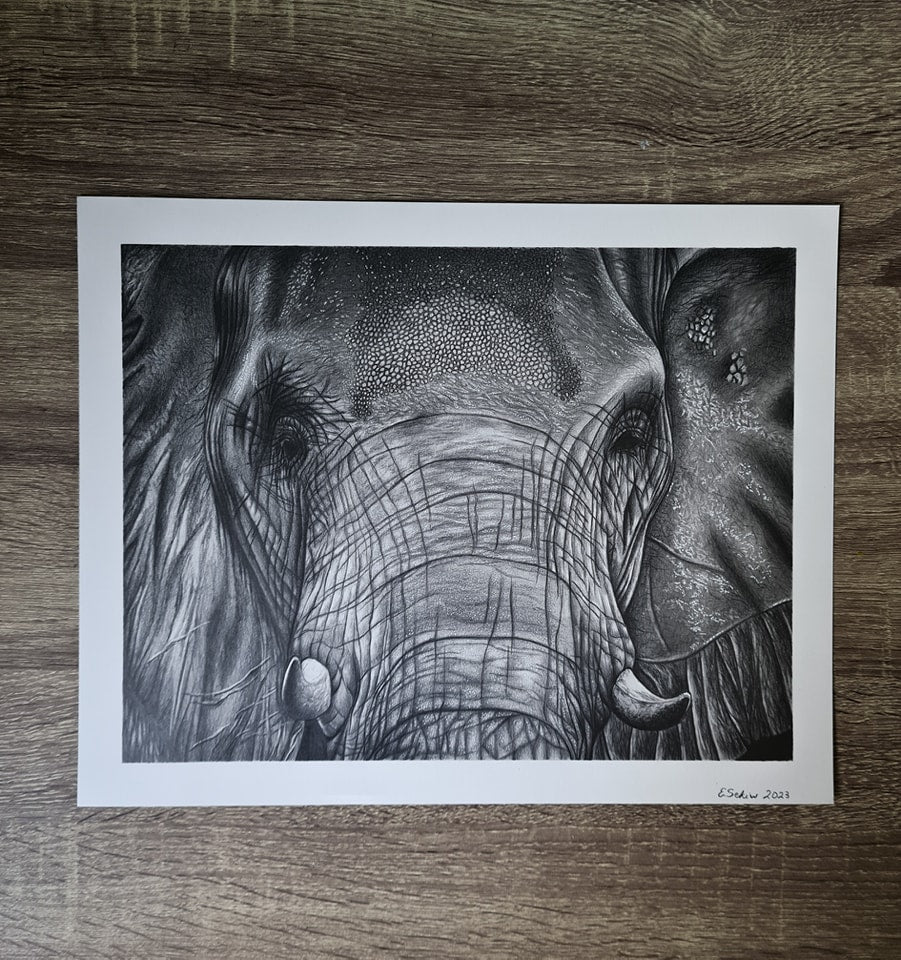 "The elephant glance" 27,9x35cm