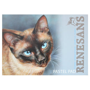Renesans A4 tegneblokk til pasteller 10 ark/5 farger PRE ORDER
